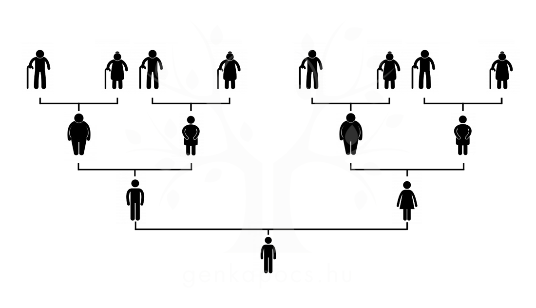családfa